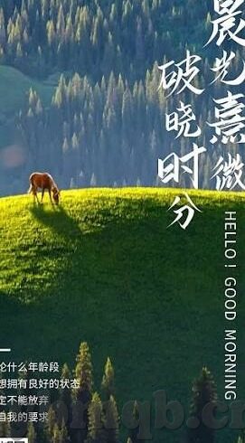 开心影院伦理片-开心影院，伦理视角下的文化娱乐新探索